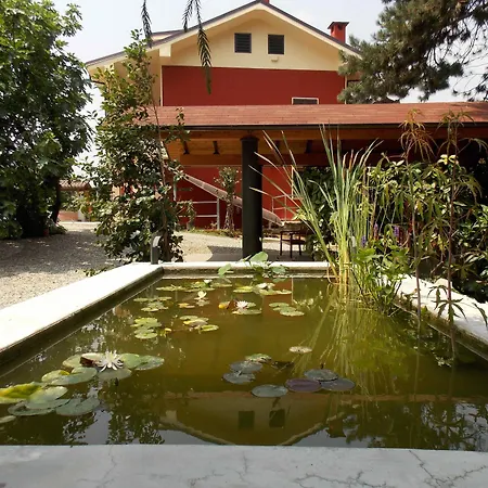 Bacca Blu Bricherasio