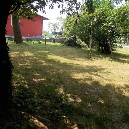 Bacca Blu Bricherasio