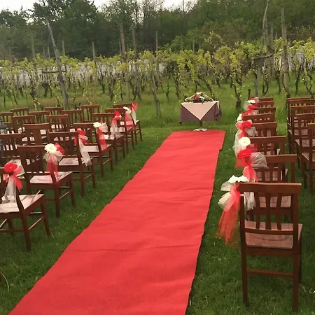 Bacca Blu Bricherasio