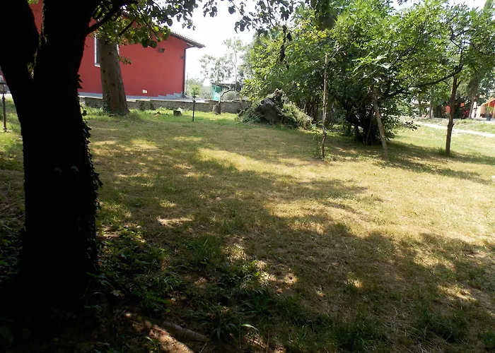 Bacca Blu Bricherasio